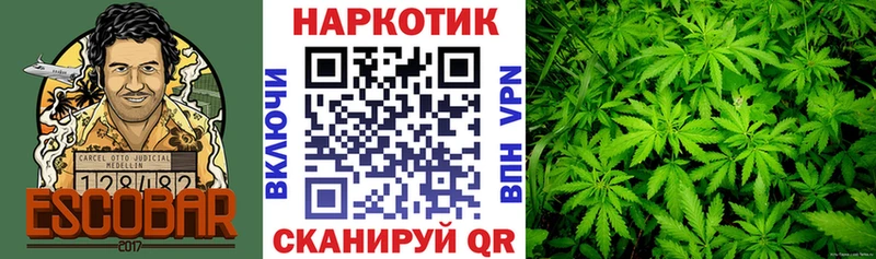 Купить закладку Ульяновск Галлюциногенные грибы  Конопля  Меф  МЕТАДОН  Гашиш 