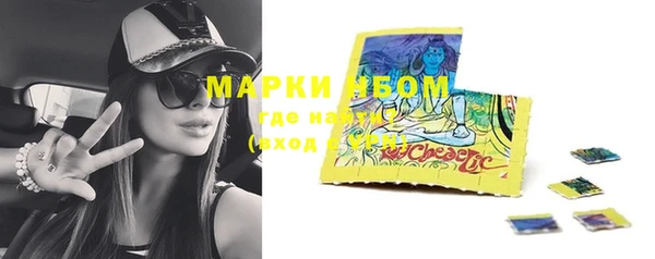 спайс Бородино